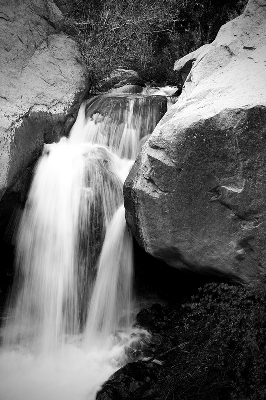 IMG-9932.jpg