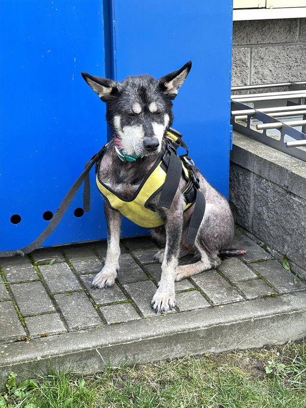 02CC46A9-B6F1-49D6-B8F6-E28AE319451E