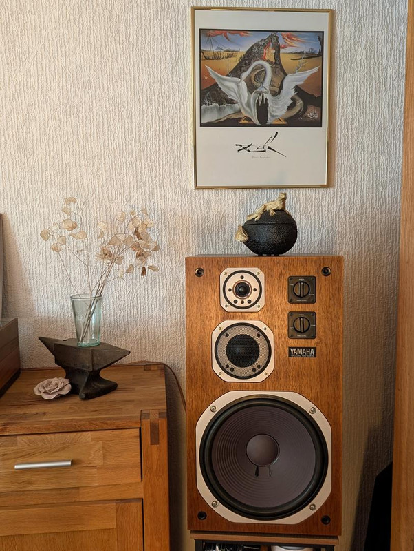 [Bild: PXL-20251106-134325407-2.jpg]