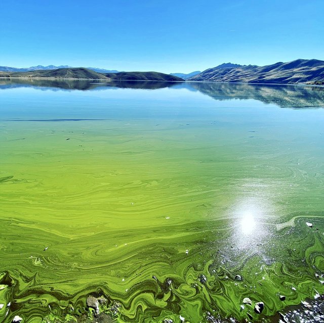 [Image: 5550-F221-1-AE7-47-A3-BEA7-EC5-EA82-F0-AAE.jpg]