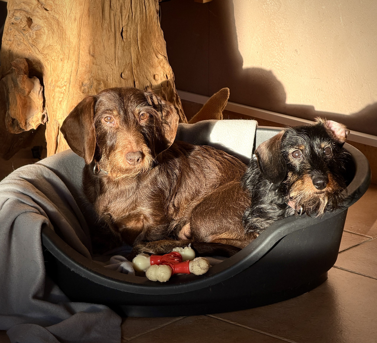 [Image: IMG-0635.jpg]