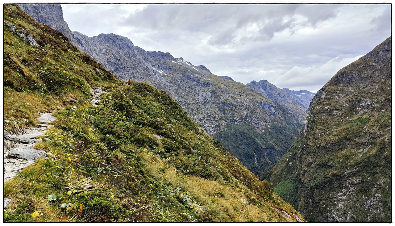 Fiordland NP: Milford Track (enero 2023) - Escapadas y rutas por la Nueva Zelanda menos conocida (34)