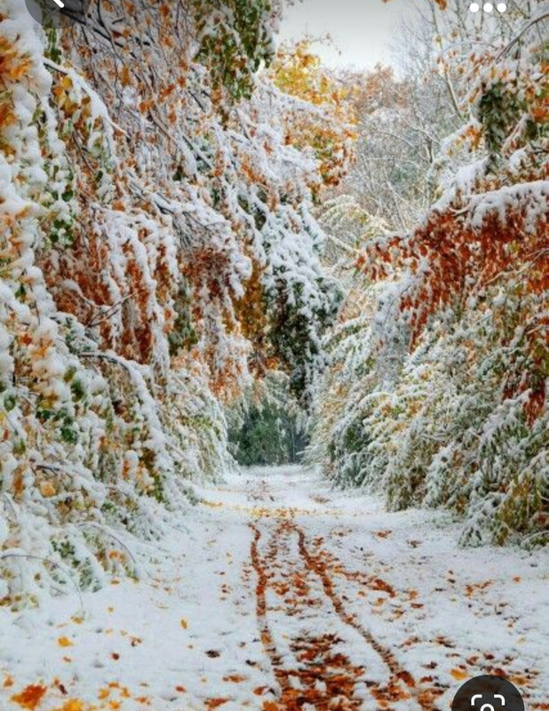 Screenshot_20231023_220157_Pinterest