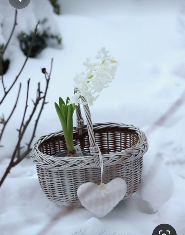 Screenshot_20230508_234103_Pinterest