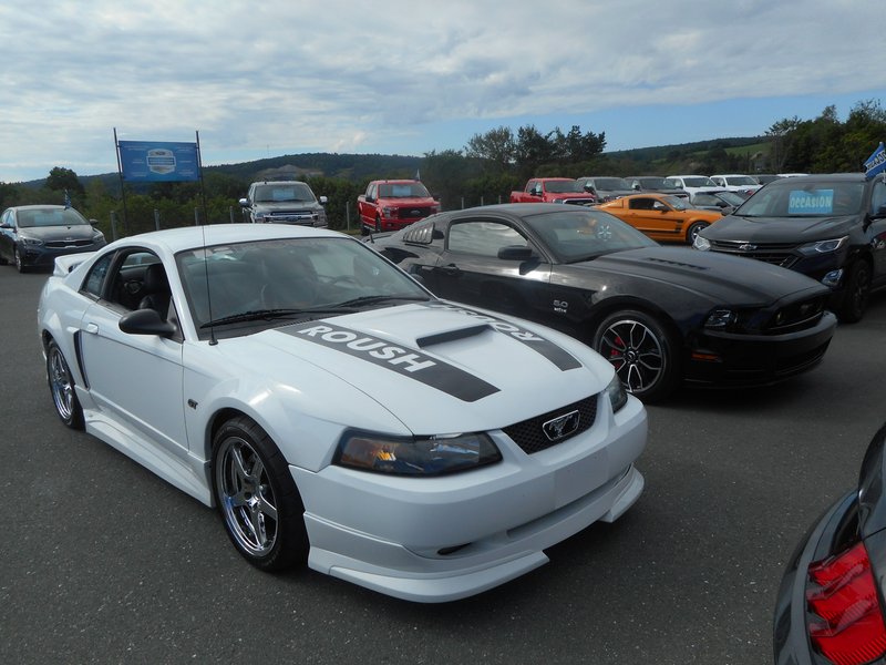 Rendez-Vous Mustang Cliche Auto Ford - 14 août 2022 Cliche2022-19