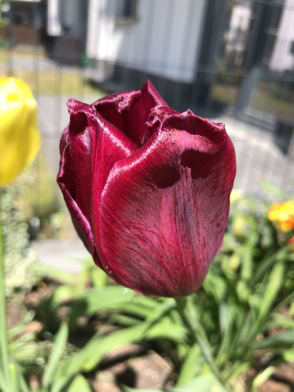 991A80E8-631F-4024-873A-DFA00DBBA542