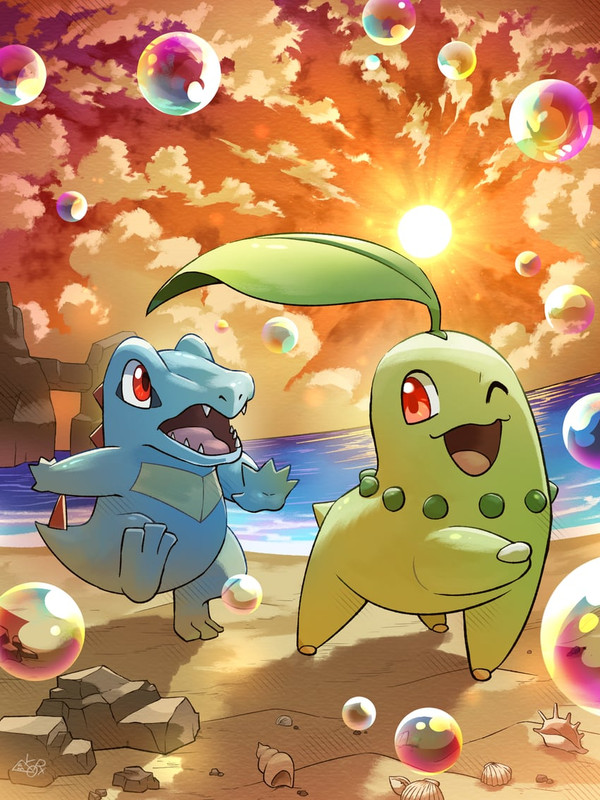 chikorita-and-totodile-pokemon-and-3-mor
