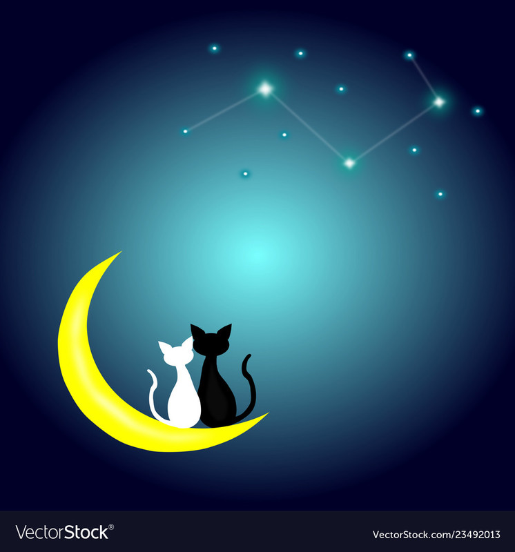two-cats-in-love-sitting-on-the-crescent-moon-vector-23492013