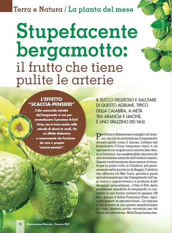 Alim Nat Gen 2018 (12)