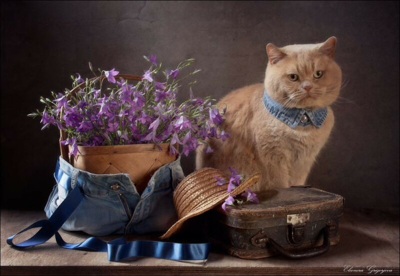 Dzinsa-vsegda-v-mode