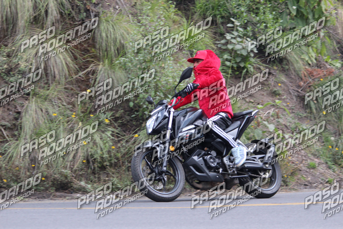IMG 1430 wm 1151952 0999999996 watermarked — Postimages