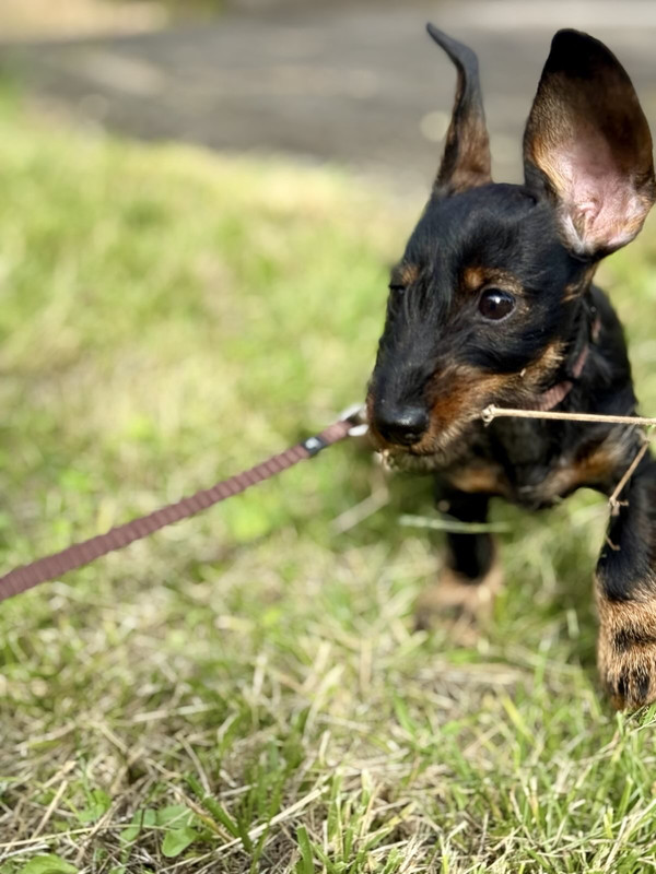 [Image: IMG-1848.jpg]