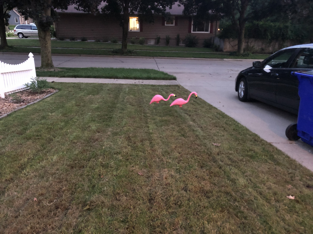 B56B3922-6B03-49C4-A116-B0AD6DC50214