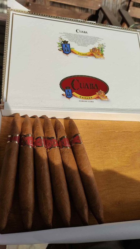 IMG-20250203-155057(1)