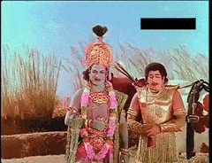 Selfassured-Darling-Africanpiedkingfishe