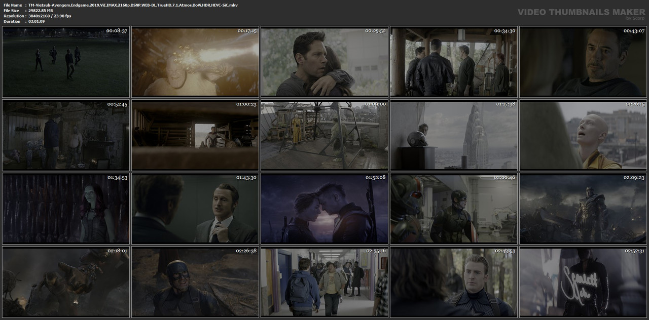 TM-Vietsub-Avengers-Endgame-2019-Vi-E-IMAX-2160p-DSNP-WEB-DL-True-HD-7-1-Atmos-Do-Vi-HDR-HEVC-Si-C-mkv.jpg