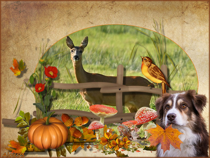 ree-in-herfstcljpg