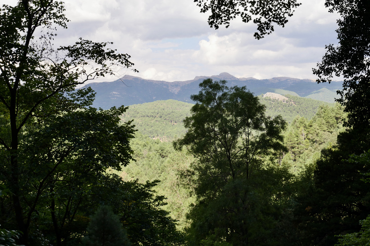 5DB6F4CC-2CA8-4CCC-B99B-1ADB43CB17D4