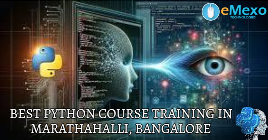 Python Training Banner
