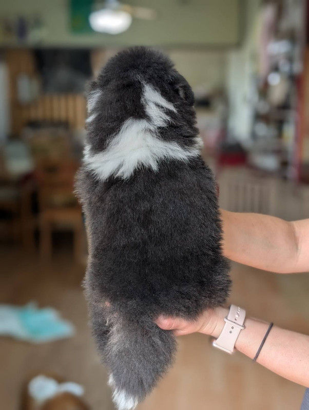 はるちゃん アップ