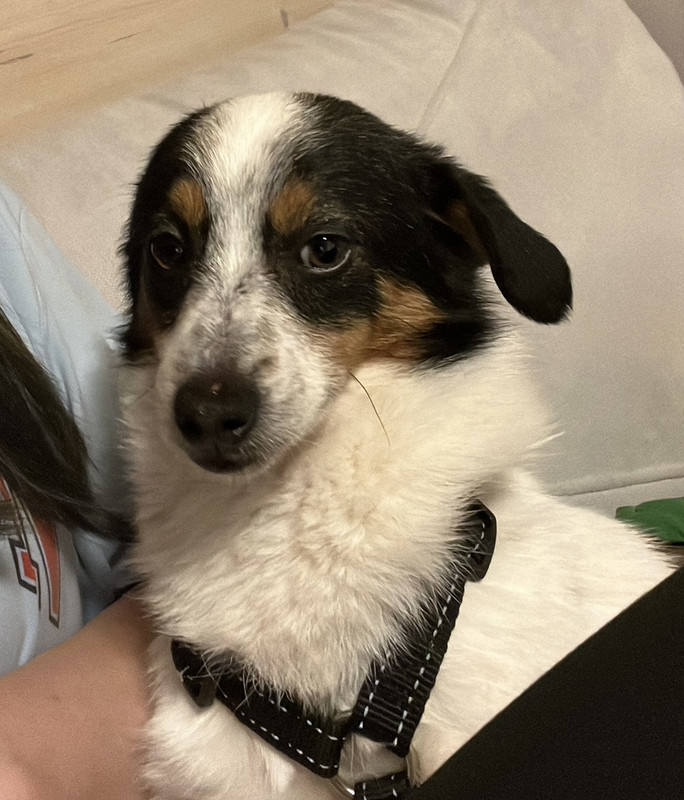 3AB23795-9FF0-49F2-A34A-4F1D8A5CD5EE