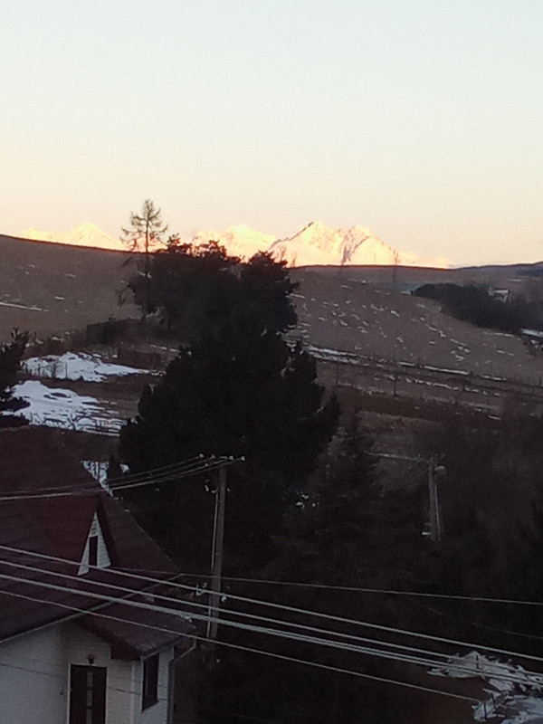 IMG_20240121_074028_737