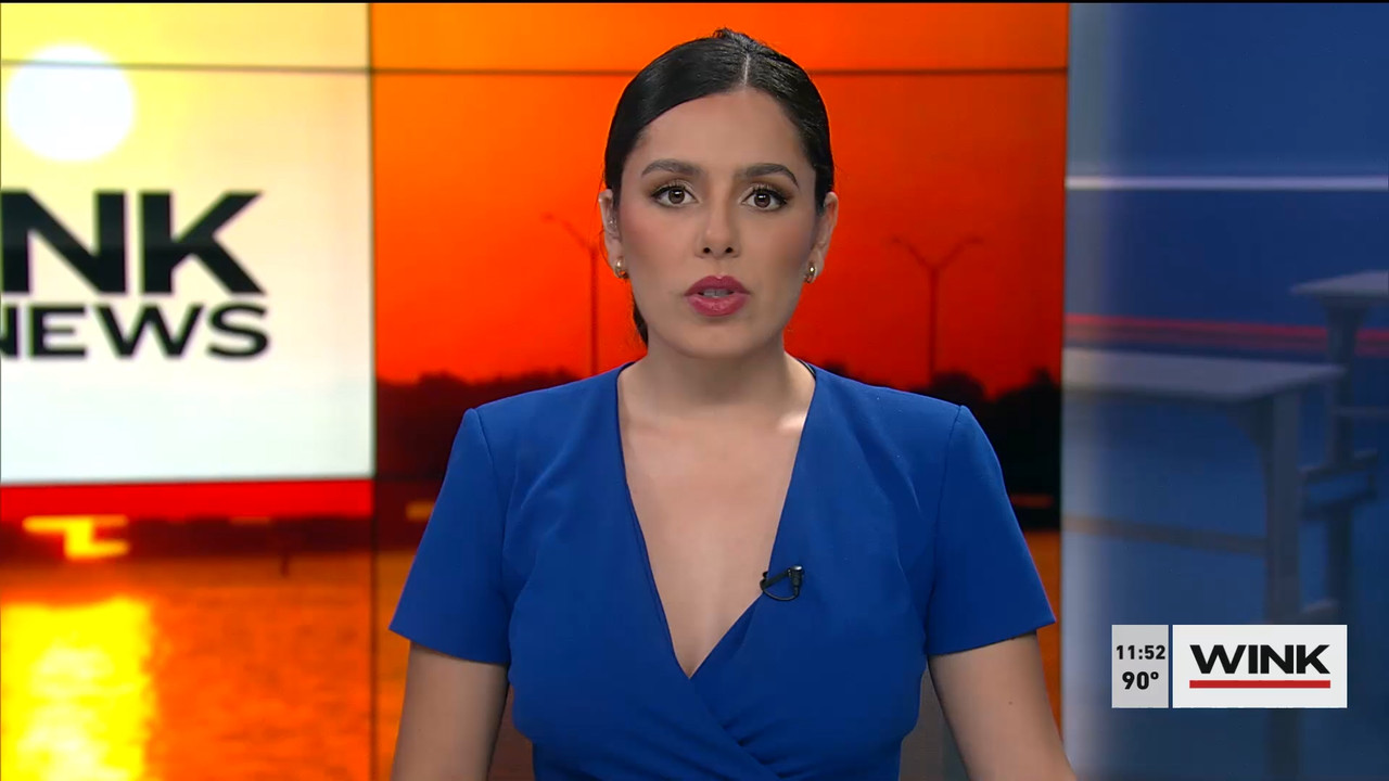 07.23 - 16.30.00 - WINK NEWS at 11 30am. Midday news..ts_snapshot_28.41.279