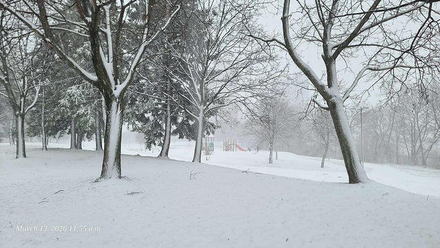 [Image: 20260313-115535.jpg]