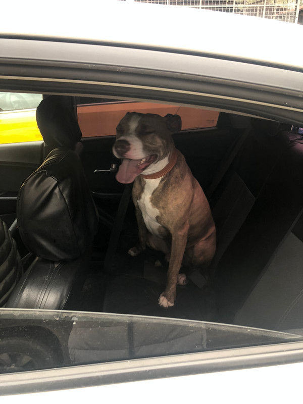 D9F6177A-F599-423F-8E83-8946CD649168