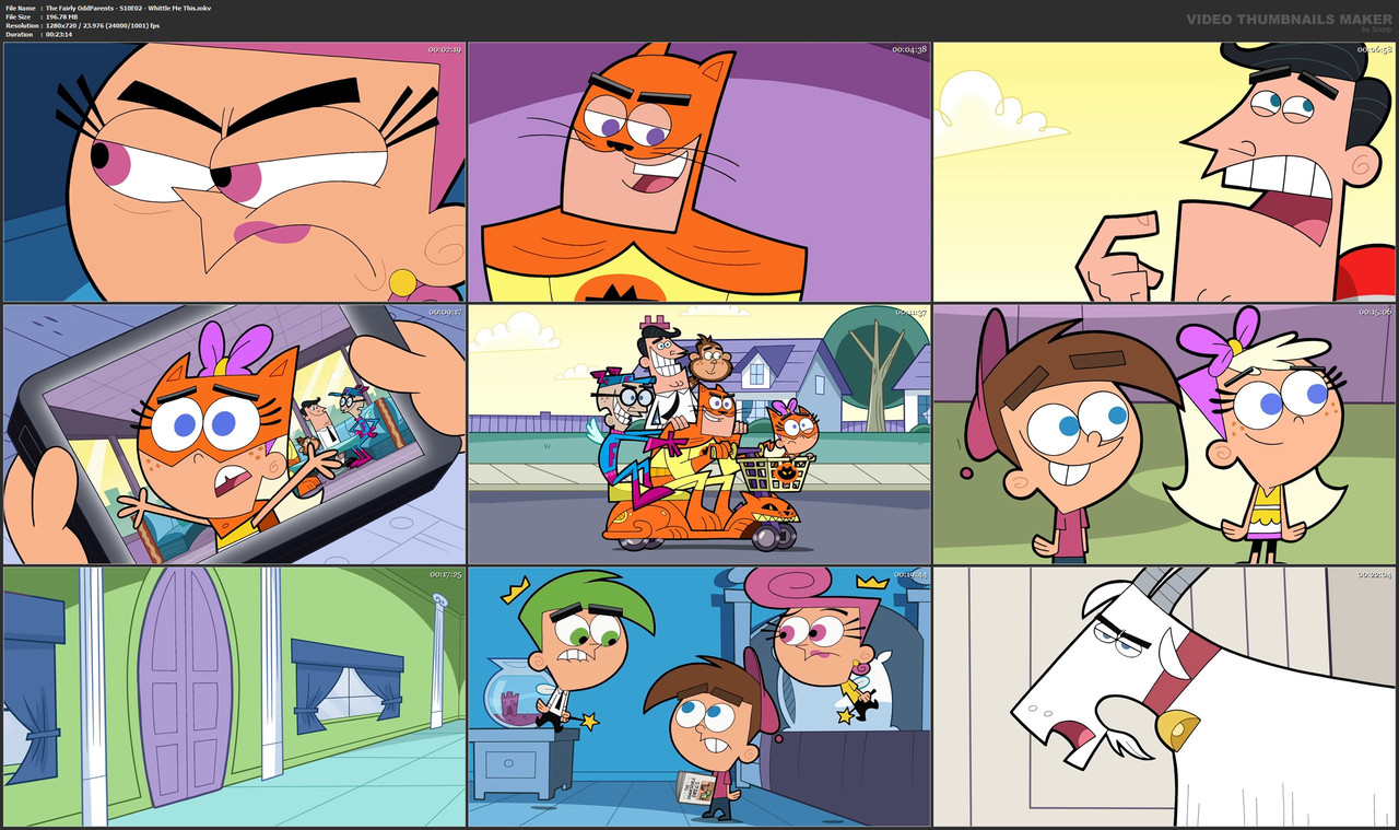 The Fairly OddParents - S10E02 - Whittle Me This.mkv