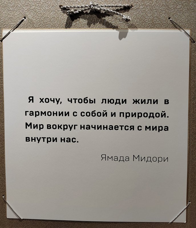 https://i.postimg.cc/tJ9gzts5/003-IMG-20240926-111133.jpg