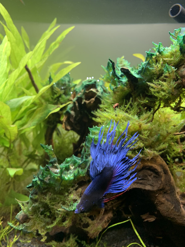 356035A6-5C87-417A-8654-64AA1573A226