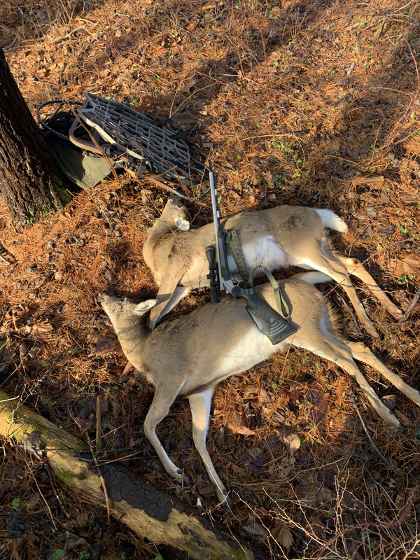 8F6FC179-31AD-4C2C-BEB2-1CFBA7DA5493