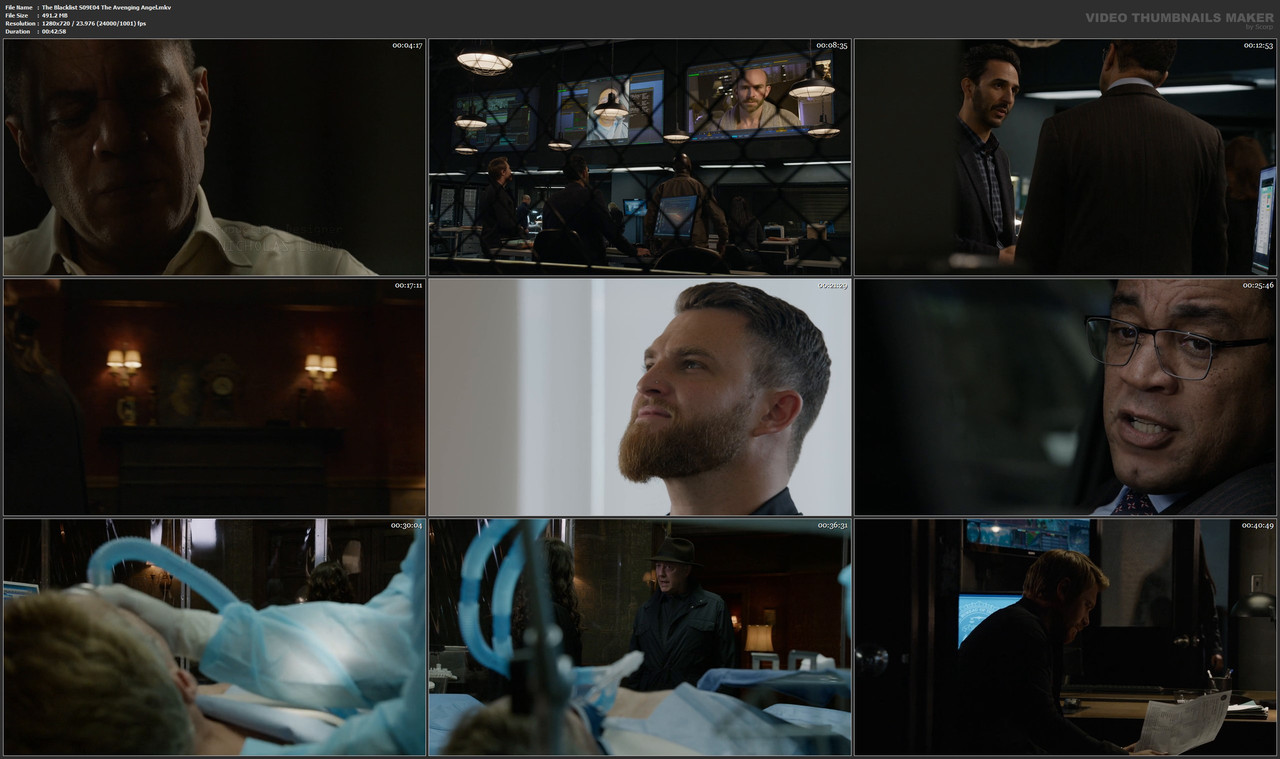 The Blacklist S09E04 The Avenging Angel.mkv