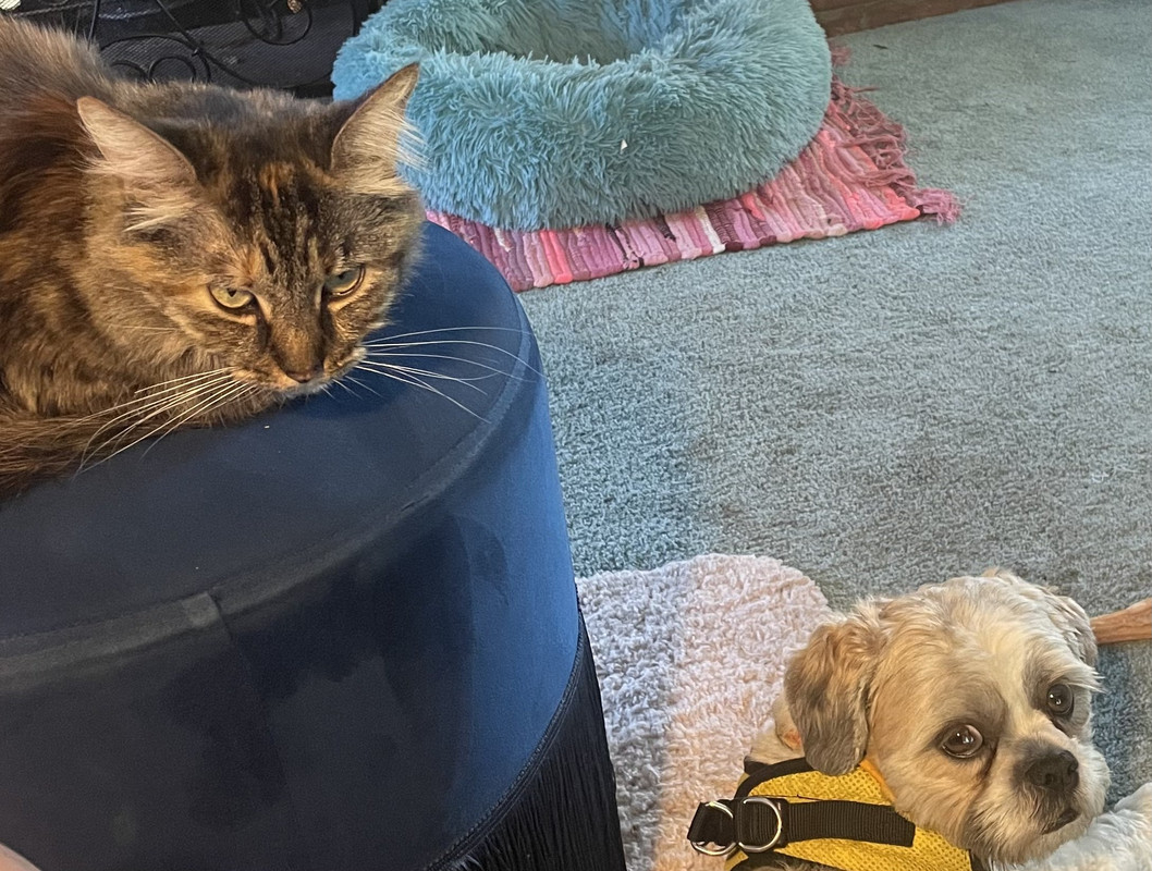 466C022A-1B14-4058-89FE-A587E76C00CB_1_201_a