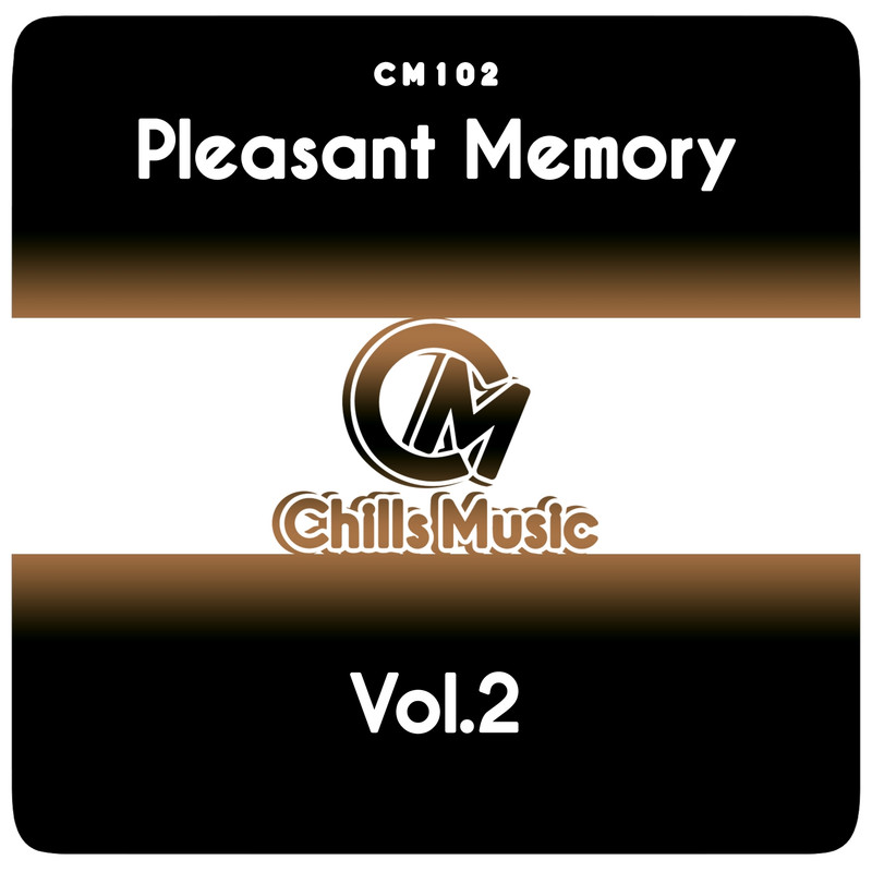 VA - Pleasant Memory Vol.2 (Chills Music) (2019) .mp3 -320 Kbps