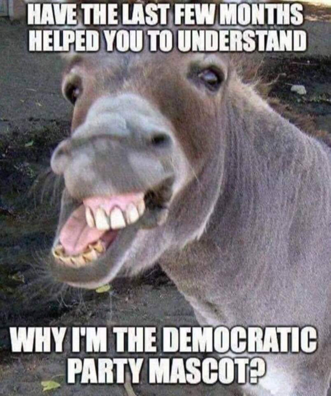 democrat-donkey