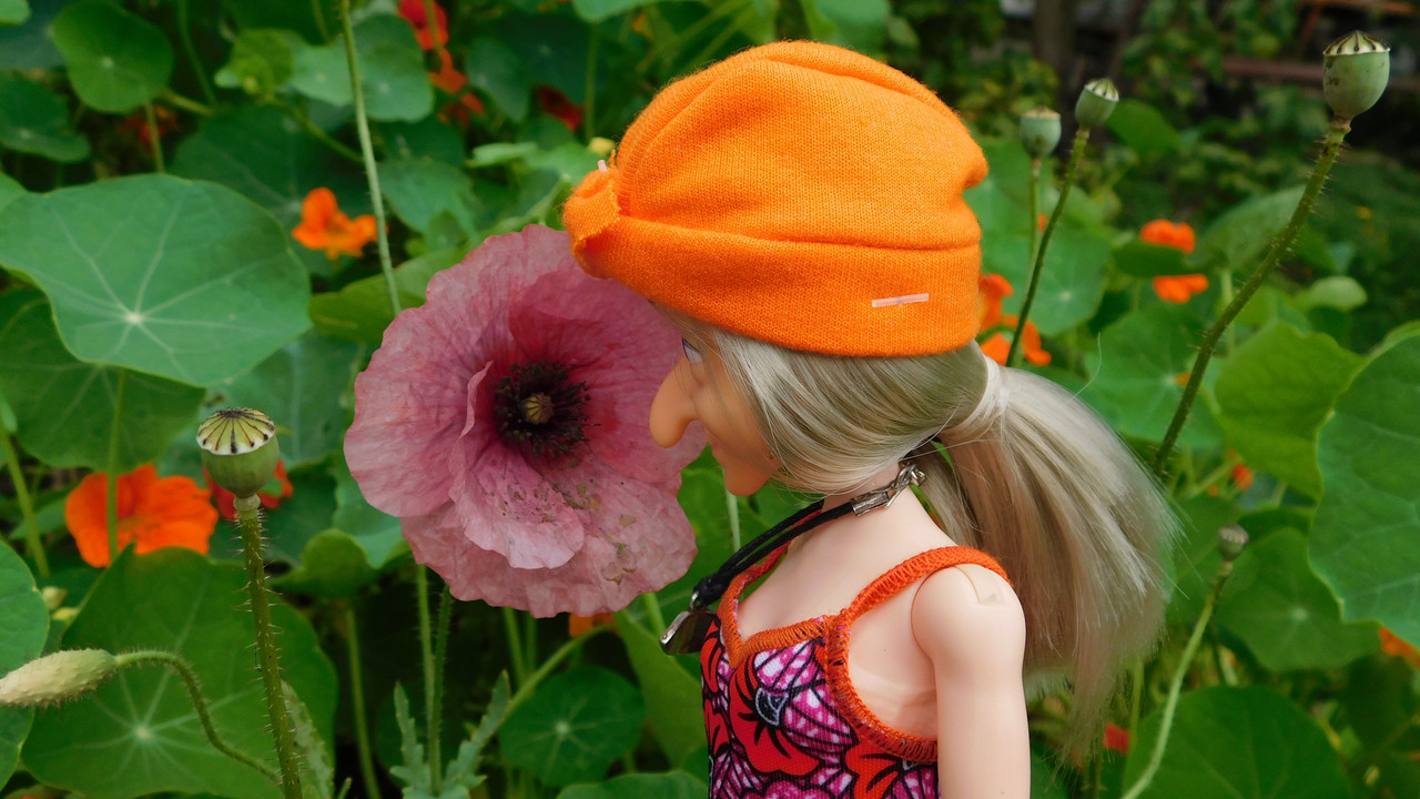 Август дачный кукольный 2023 066