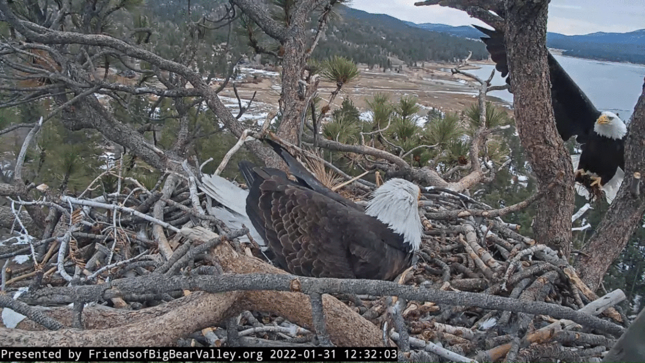 Webp.net-gifmaker (7)