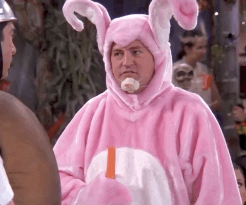 giphy-16.gif