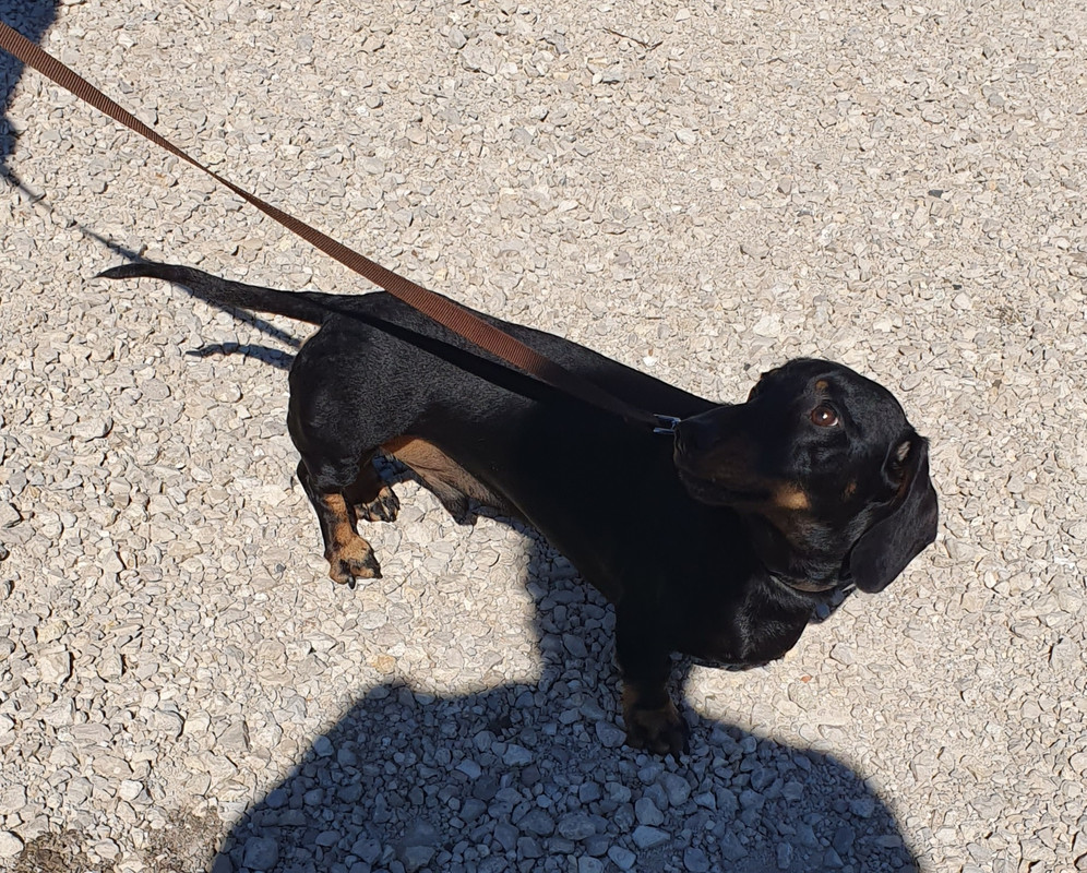 [Image: 22-8-2022.jpg]