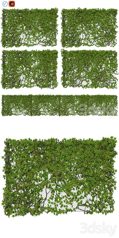 Fence with Ivy v12