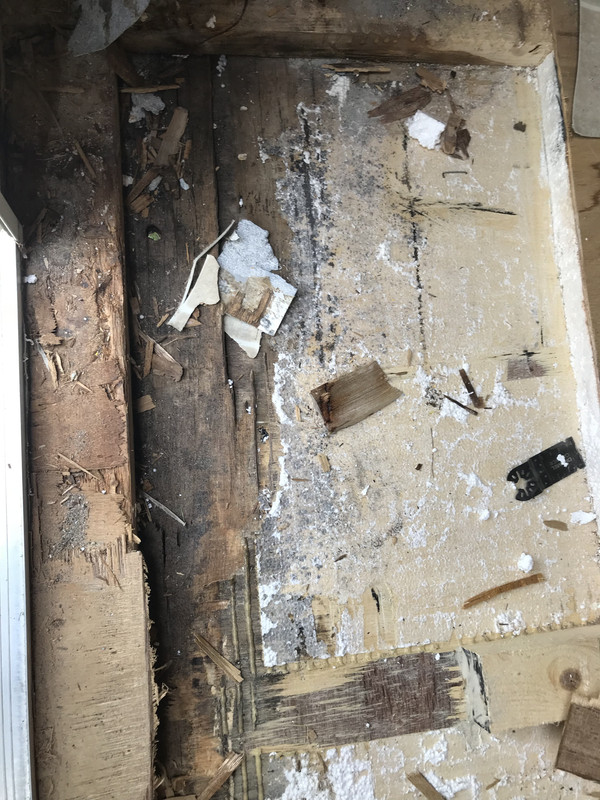 49E2A9E6-8597-4382-B574-0535FD19DCBD