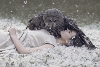 owl-feathers-nature-women-lying-down-1447421