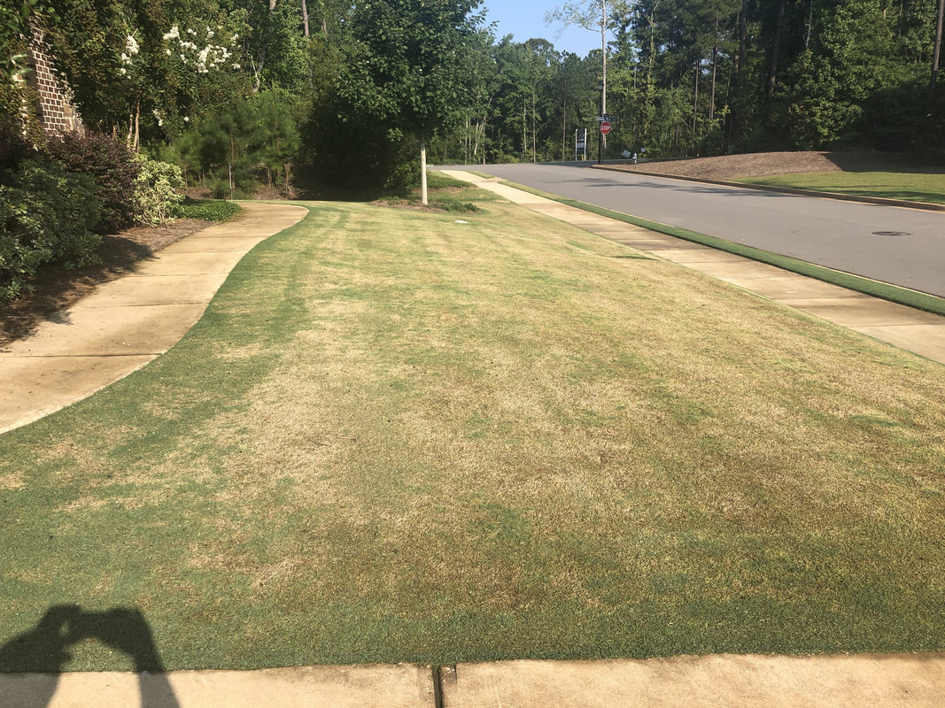 14A95A96-1316-42F2-AC06-ACCC8954FC7D