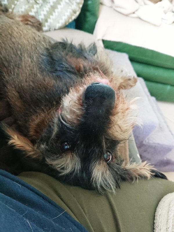 [Image: DSC-3820.jpg]