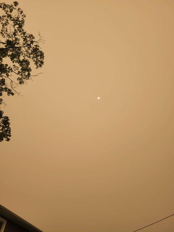20230607-144857.jpg