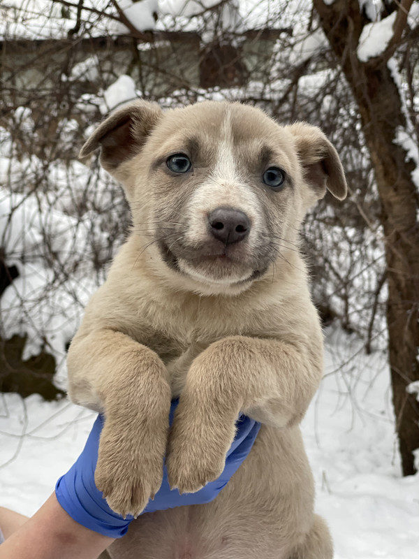 AF683F3C-88E3-4004-91FE-EF20C6803580