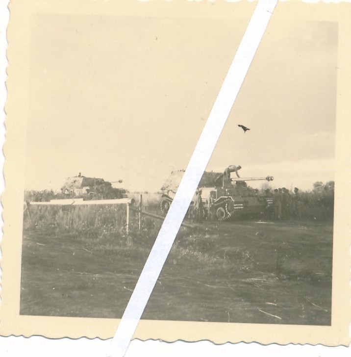 Russland schwerer Panzer Jäger Ferdinand Aufmarsch zu Zitadelle Sommer 43 (2)