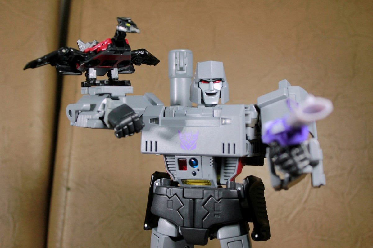 1490725743-mp-megs-07